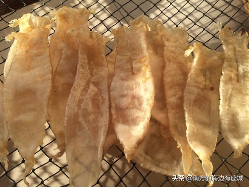 什么是鱼胶？鱼泡是怎样成为鱼胶的，整个蜕变中你不知道的秘密
