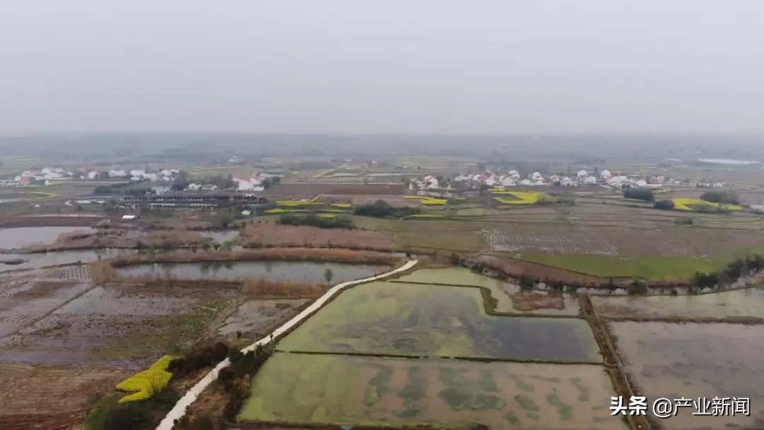 来今雨农场——一位退役海军开创的农业新天地