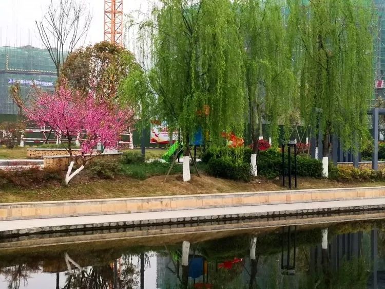 组诗：花鸟闹春-第1张图片-非凡网