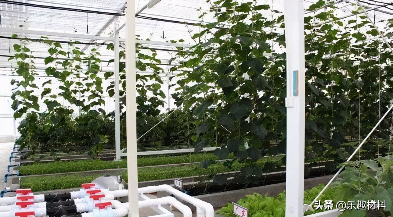 ����亣���³ǣ�Ϊ������������������ɳ�����ģ�