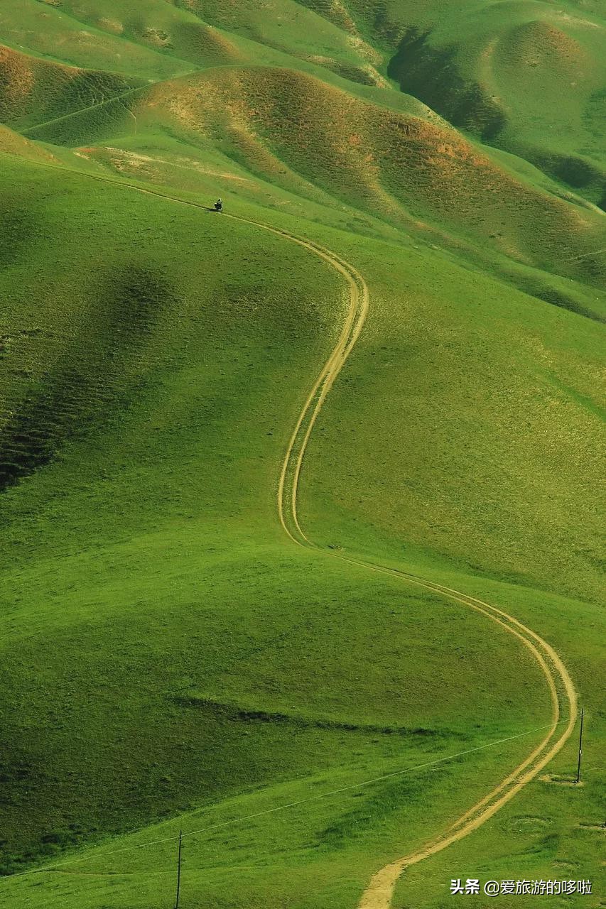 青海值得旅游的地方 青海湖最佳旅游月份(圖7)