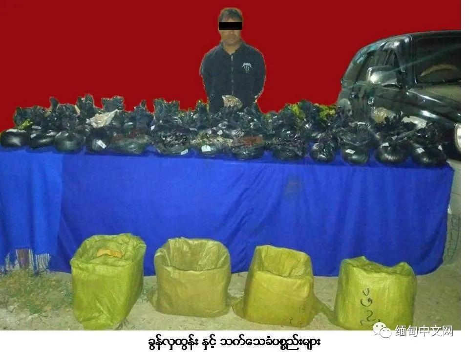 缅甸深山中，成千上万株罂粟正在结果，警察进山了