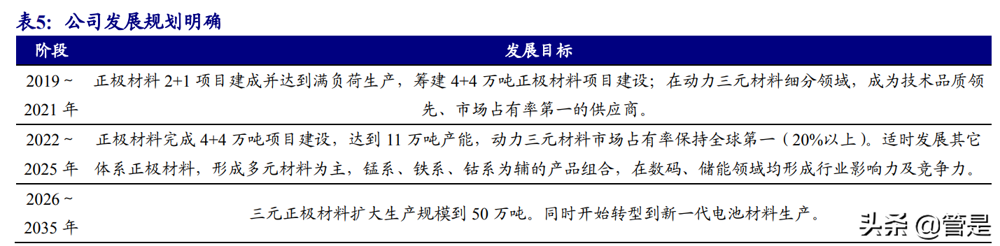 长远锂科专题报告：高端三元正极龙头，与产业链巨头共成长