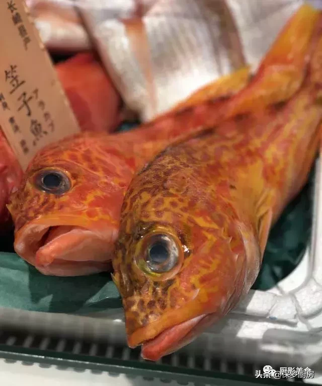 史上最全的顶级“海鱼”海鲜大全,全吃过的你人生就到达了巅峰!