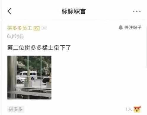 拼多多员工揭开了拼多多遮羞布，为何脉脉成为最大赢家？