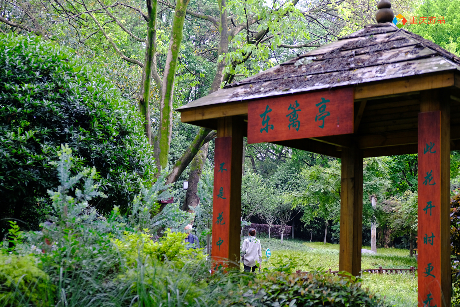魅力渝中：建于清朝的私家园林，变成重庆人的城市公园，免费开放