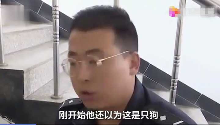 不愧是“狐貍精”，知道“有困難找警察”！東北銀狐進派出所求助