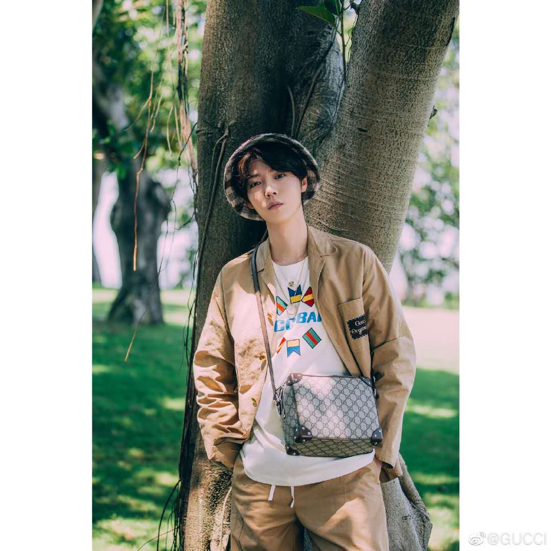 鹿晗的第520個Gucci故事，他和夏天一起來了，網(wǎng)友：頂流還是頂流