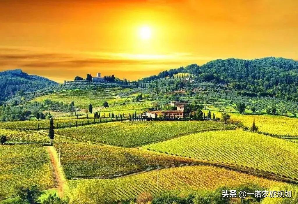 2021年農文旅項目可申請的20種政策補貼