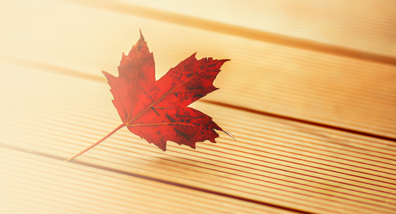 家有四樣，不富也旺