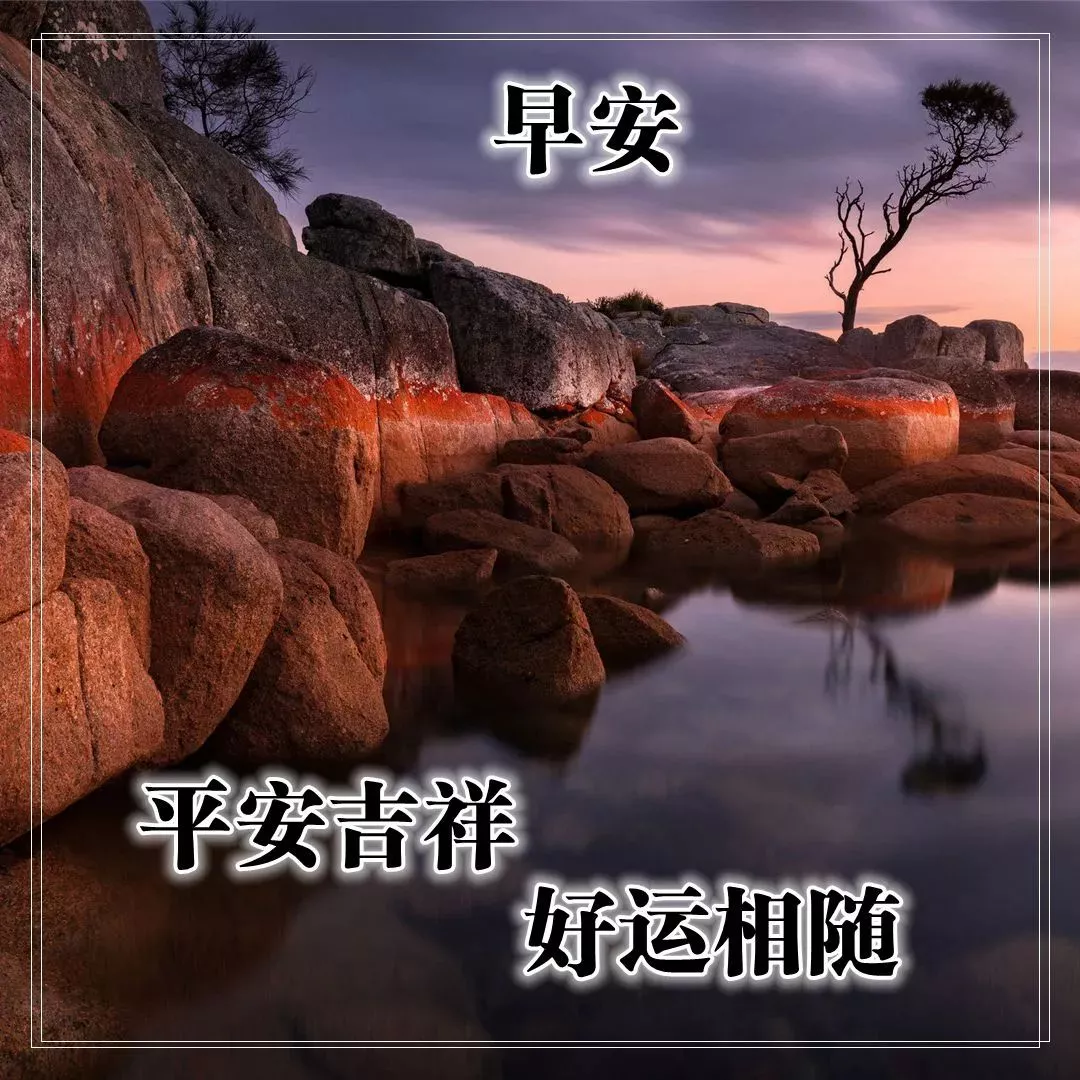 早上的问候图片带上精美的祝福语图片