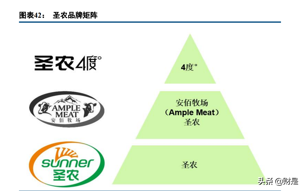 圣农发展专题报告：平滑养殖周期影响，食品业务打造增长新引擎