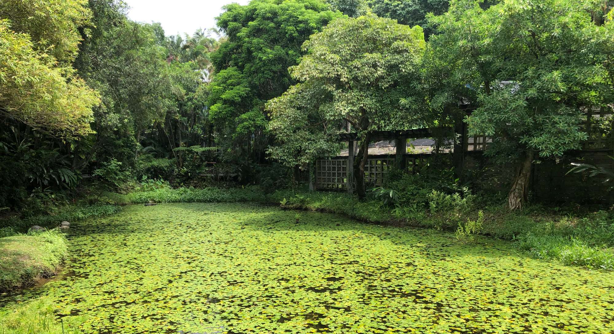从上海到台北，从爱庐到士林官邸，一对夫妇的情感旅程