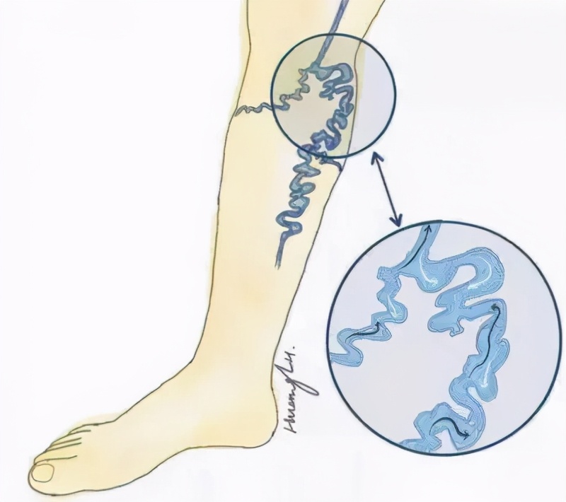 ��·���ò������ȣ���ҽѧ�Ƕȵ�����Ϊ��ɶ��