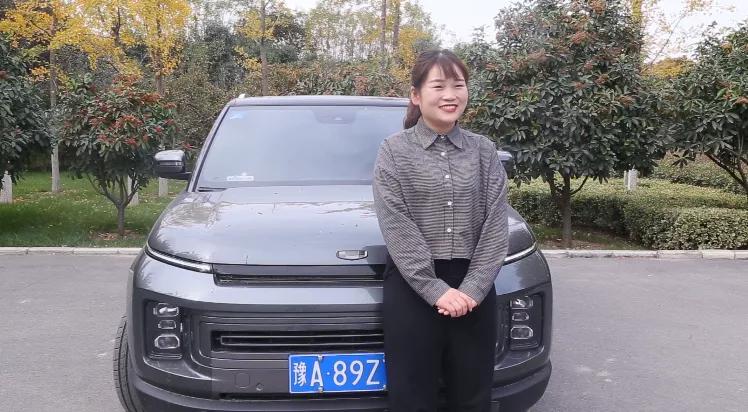 大河报汽车网