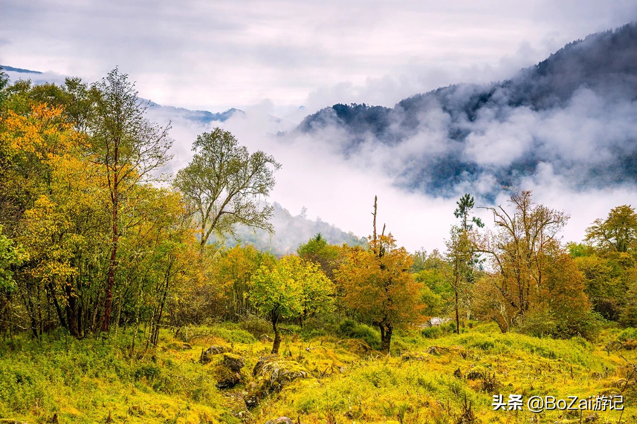 到四川雅安旅行不能错过的10大景点，有一处被称为中国仙茶故乡