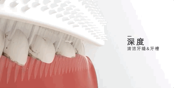 刷牙完全不用手？只需十几秒，360°无死角自动清