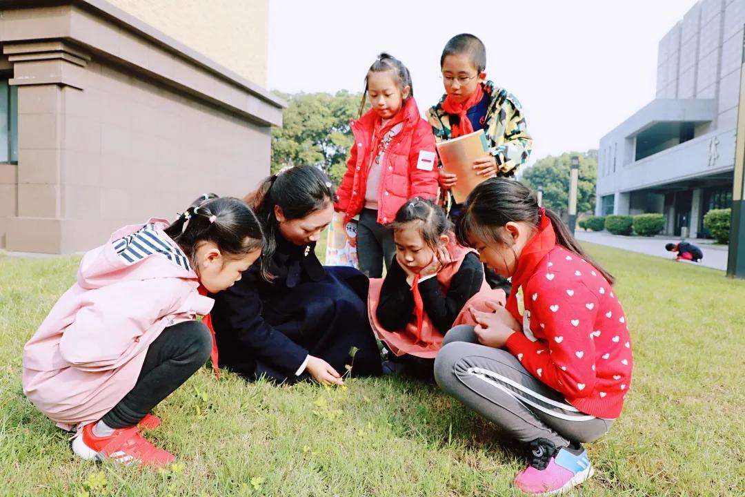 带上五官到校园里寻找春天——成都市华中附小大自然的语文课