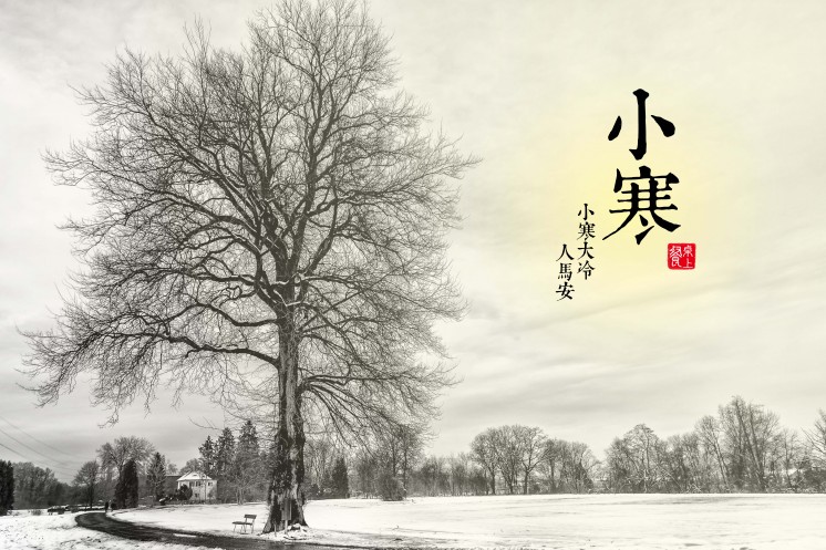 地球迎来60年最冷冬天，拉尼娜会让我们重返“冰河世纪”吗？