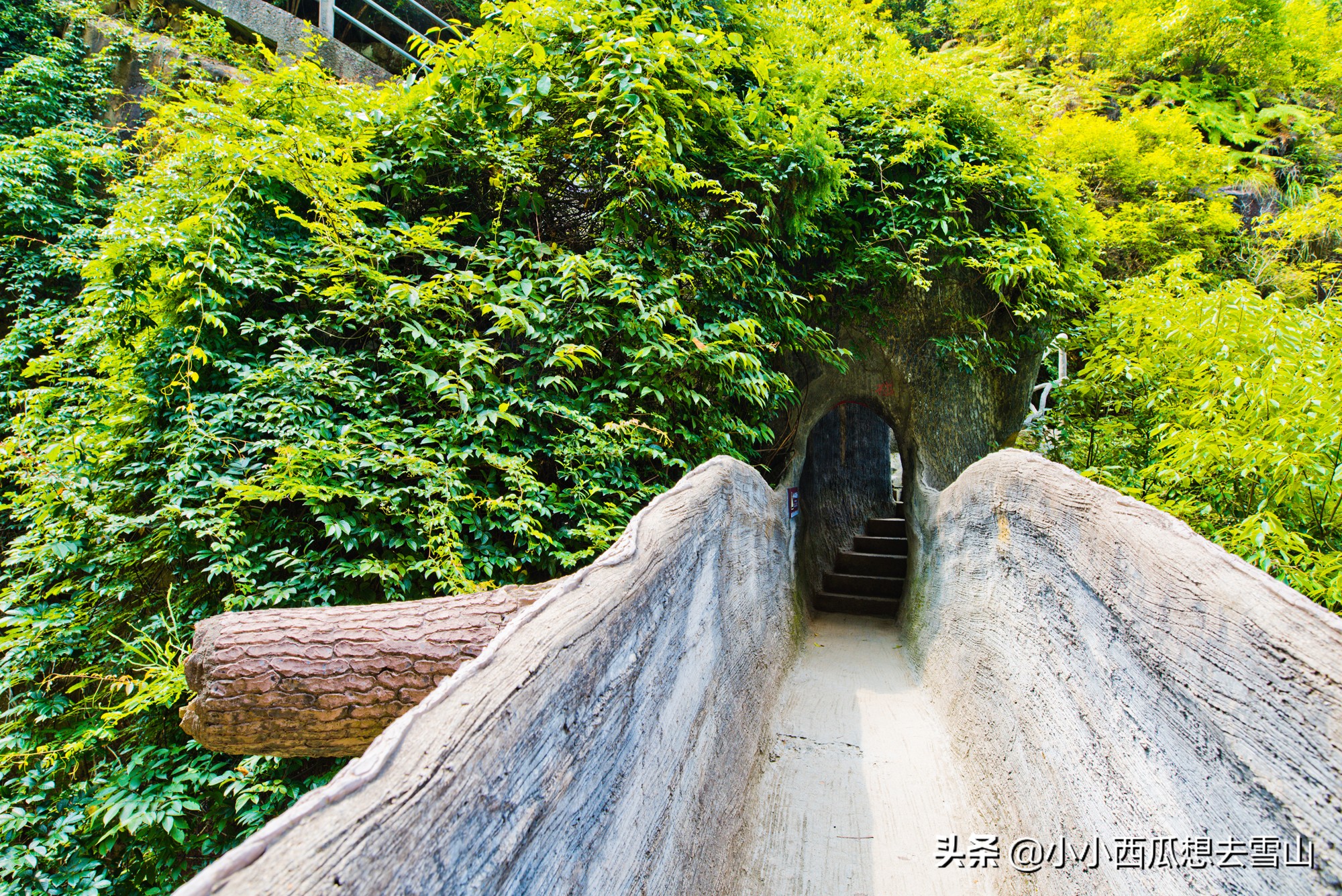 浙东藏着一处峡谷，被誉为人间仙境，李白等百