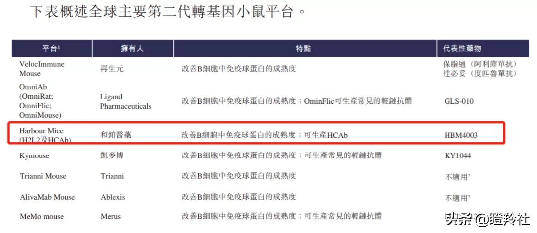 和铂医药，高瓴、GIC、奥博看走眼的平庸医药B？我看未必