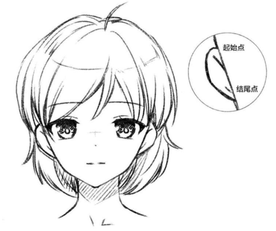 画渣入门必修课,超详细的动漫人物五官画法!(耳鼻篇)