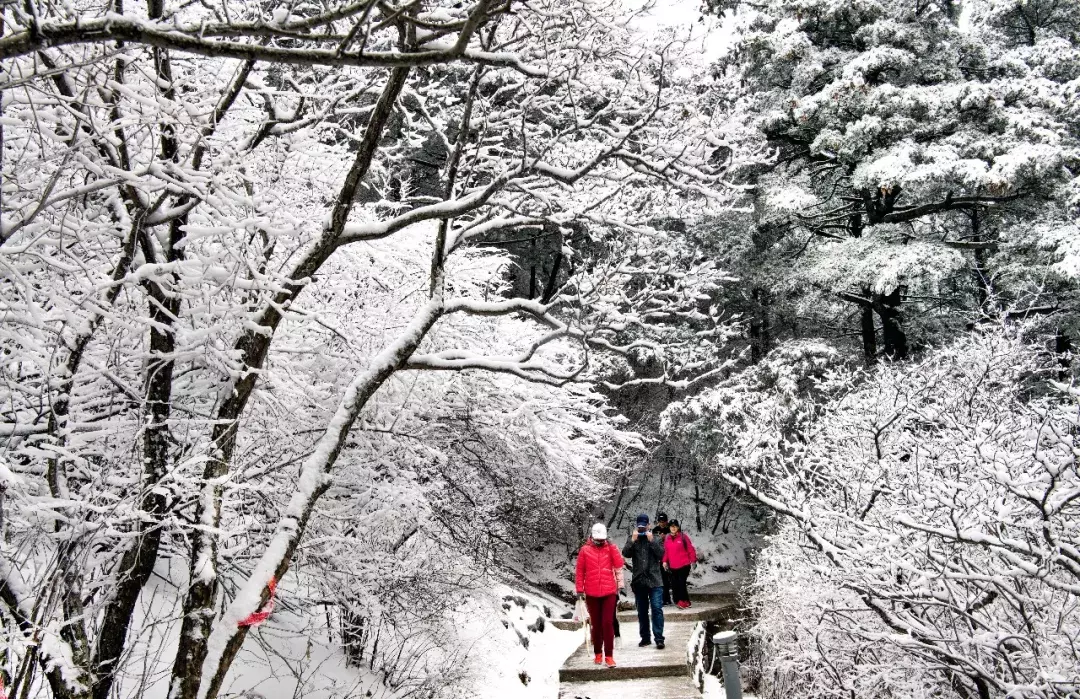 Mount Hua of ｜ of big beautiful Shaanxi and snow meet to be gotten the better of however the world countless