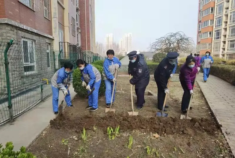 「泰华生活服务·植树节」让我们一起行动起来