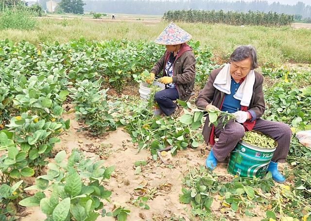 延迟退休反对声音大，新提案被专家认可，你赞同吗？