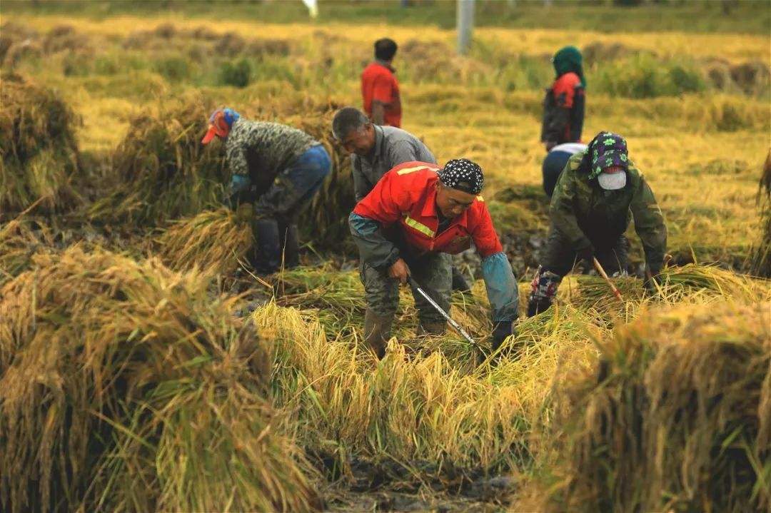 我国中等收入群体将达到8亿人，标准不高，你现在达到了吗？