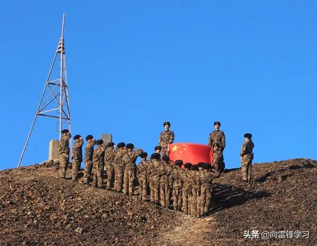 517厉害了，又一批“新鲜血液”强势来袭！