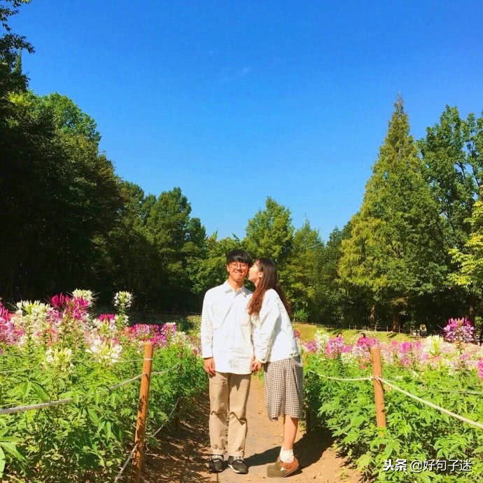 甜到炸的句子 句句深入人心经典句子	图片