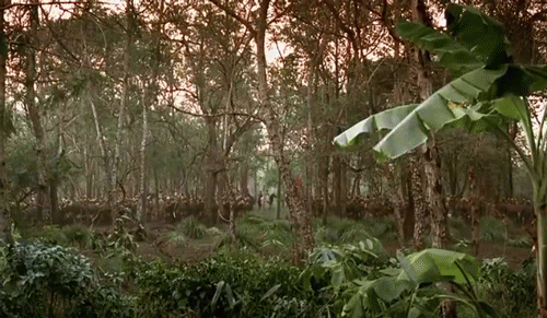 背靠中国，为何巴基斯坦经济总是发展不起来？内部原因危害无穷