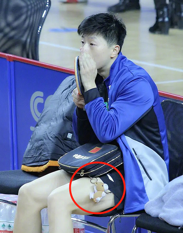 亮了亮了：马龙的鹰、许昕的手、樊振东的壕、全红婵的拖鞋