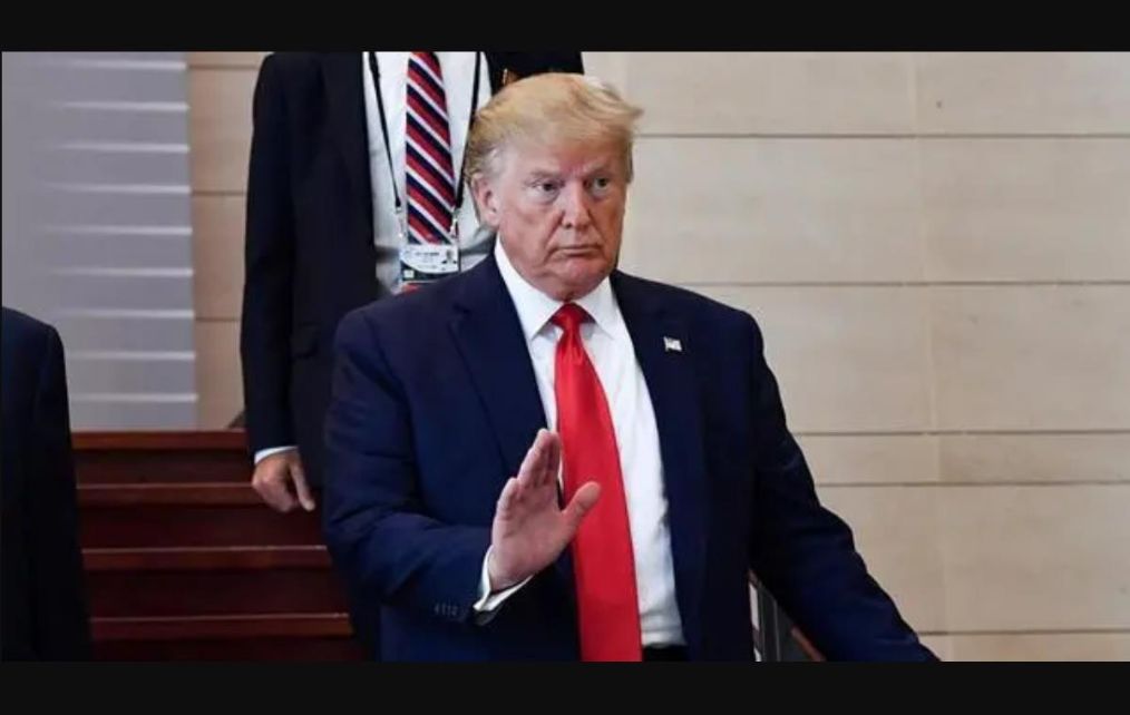 �ѹְ����ల�����޿֣��Ʋô���������⣬��������һֻֽ�ϻ�