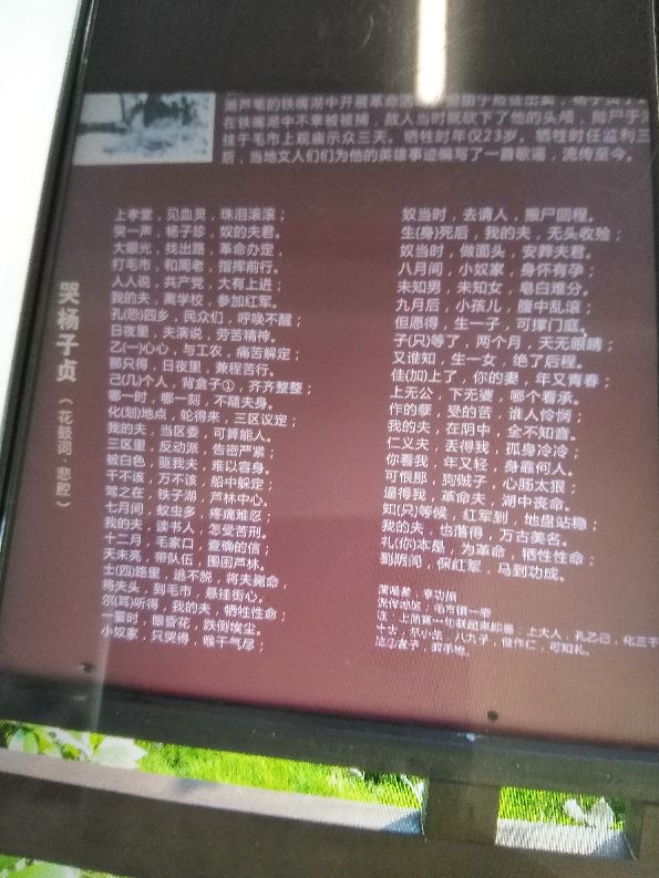 毛市镇石码村：力拓荒原建基地 红色薪火永相传