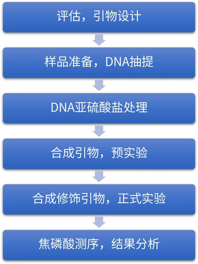 一文读懂焦磷酸测序检测dna甲基化技术