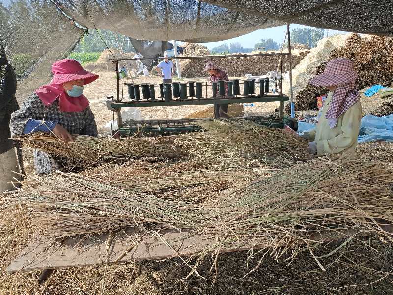 稻草|摄影师用镜头记录稻草帘、草绳制作全过程