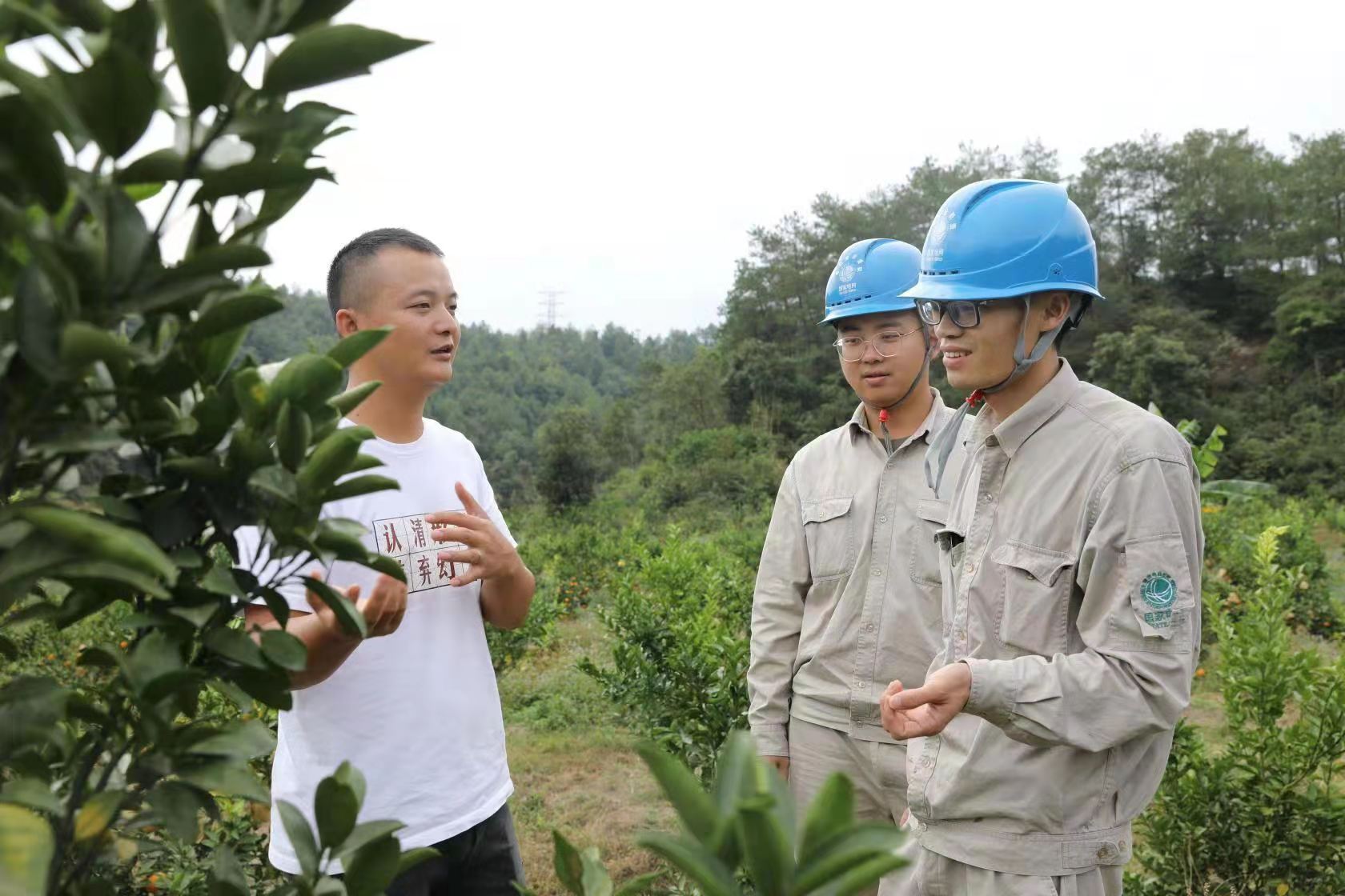 福建龙岩连城供电公司：脱贫攻坚路上“有温度”的供电答卷