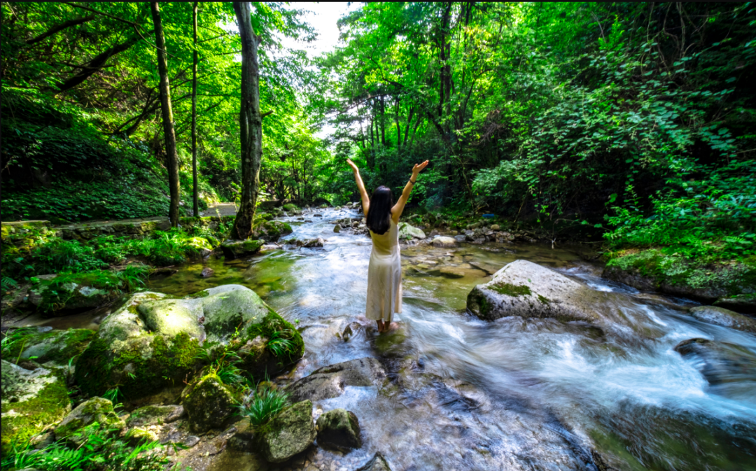 致敬所有女神！天岳幕阜山景区妇女节免门票