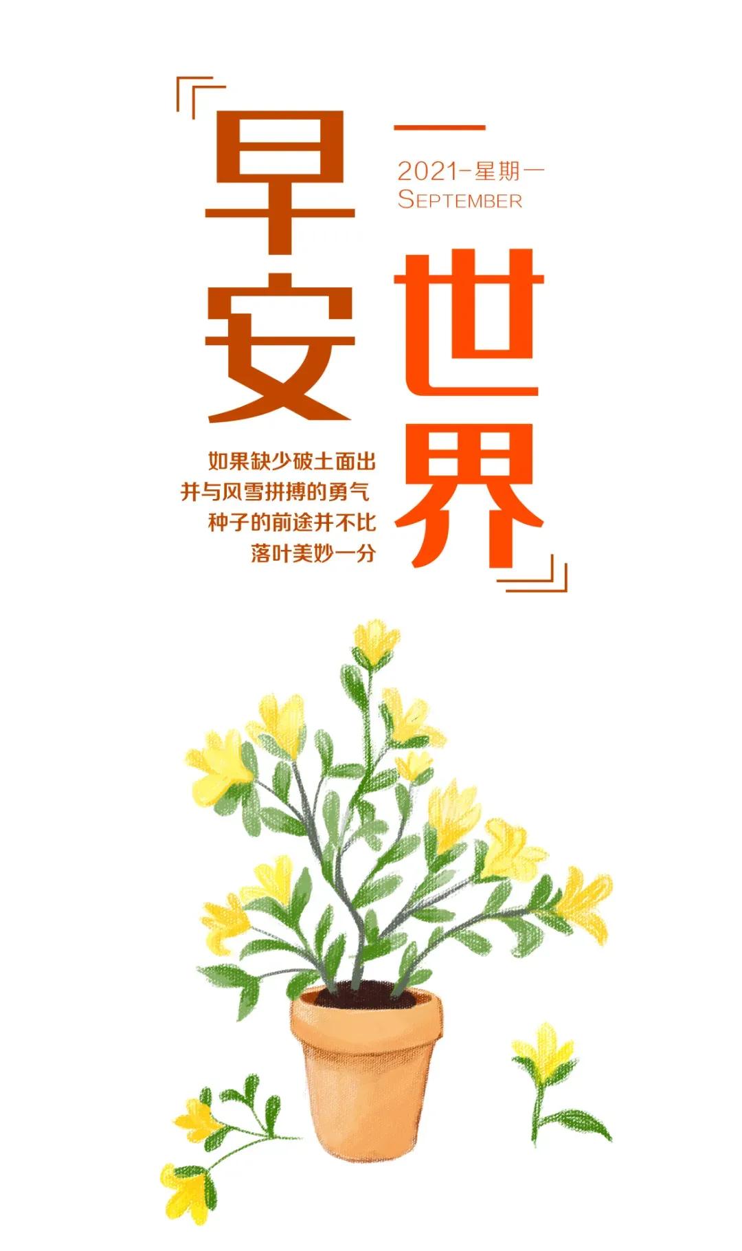 9月日 早安日历来啦 美好的一天从我的问候开始 放飞的喀喀 Mdeditor