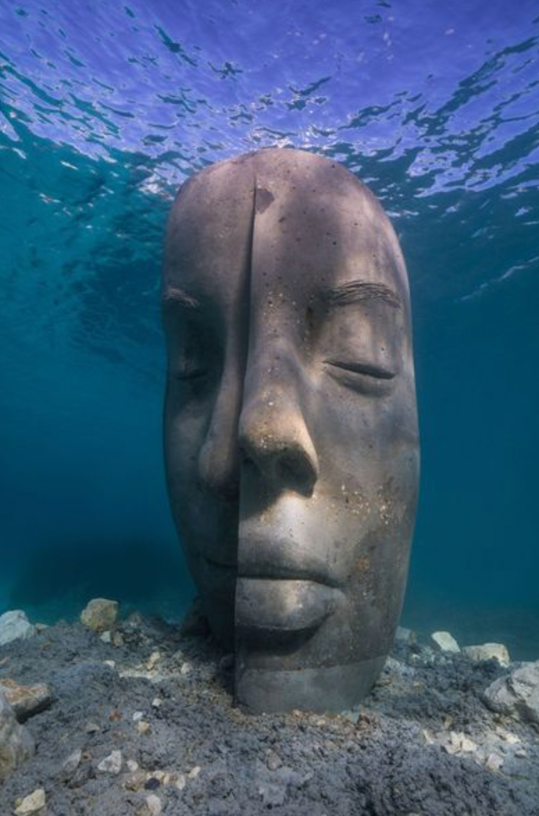 最具沉浸感的博物馆：戛纳海底生态博物馆