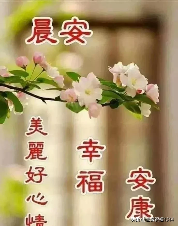 赞美早起的经典句子图片（附正能量满满的早安问候语） 第1张