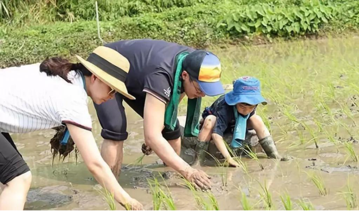 豪门生娃太疯狂，徐子淇生4子奖励10亿，郭晶晶的奖励让人羡慕