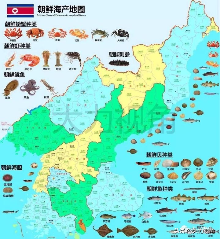 收藏 | 朝鲜商机--海产资源丰富，潜力巨大
