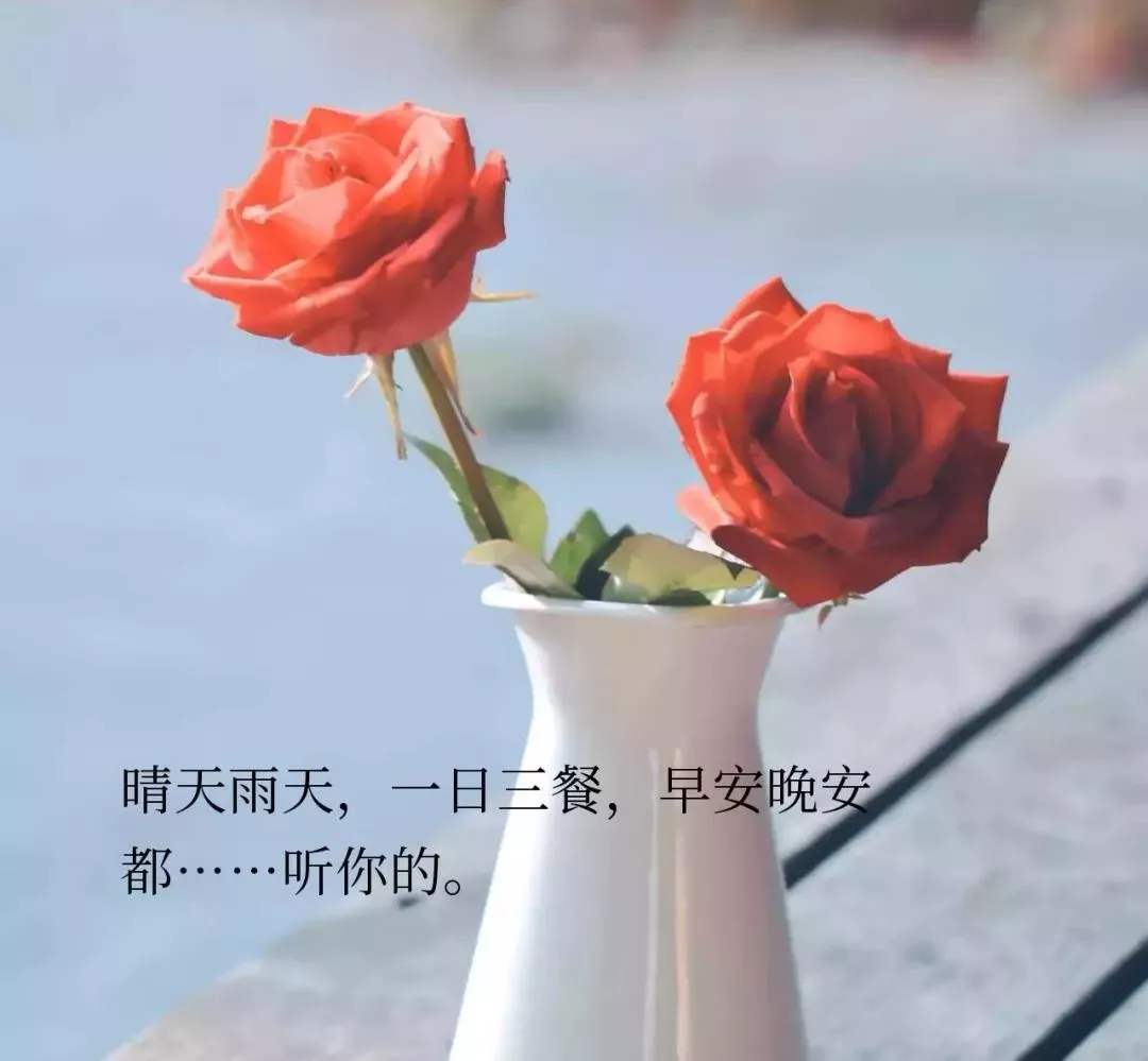 适合发朋友圈人生感悟的经典语录，哪一句触动你！