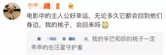 准备好纸巾!「一条狗的使命2」来了