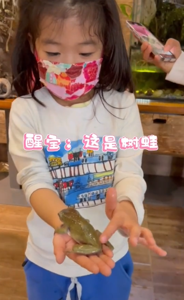 服！ 章子怡5歲女兒接觸冷血動物，醒醒徒手抓蛇摸蜥蜴超淡定