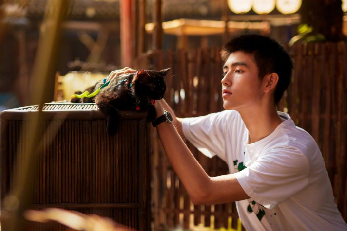 主角是家人，配角全是影帝影后，网友：大导演