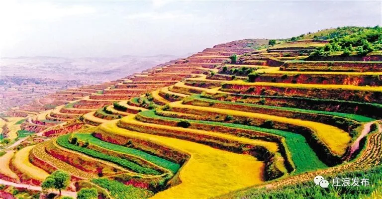 【庄浪县】初秋时节来庄浪，看百万亩梯田绝美风光！